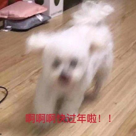 娱乐吃瓜君乱吐槽,揭秘娱乐圈那些不为人知的幕后故事